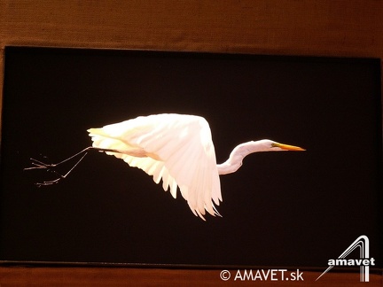 PICT0127
