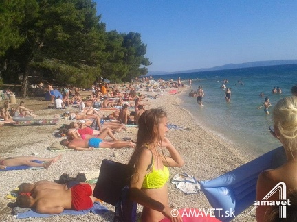 47216 734209063284122 7044029720718680229 n