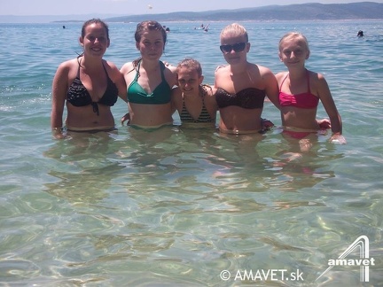 10389706 736342333091711 7568162060706540306 n