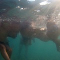 FILE0068